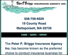 image of Peter Briggs Insurance site