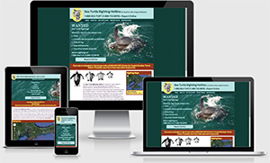 Sea Turtle Sightings Hotline website image