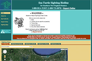 image of Sea Turtle Sightings Hotline old site