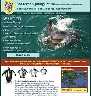 image of Sea Turtle Sightings Hotline site